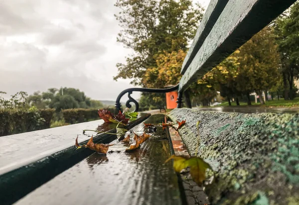 雨の下で街の歩道 葉のついた湿ったベンチ ブリックロード — ストック写真