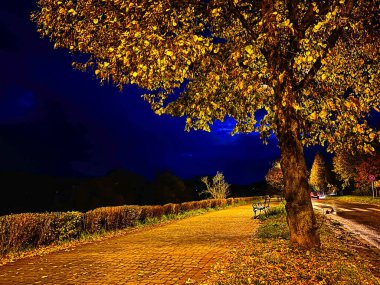 Gece karanlığında, fenerlerin ışığında, setin üzerinde altın sonbahar