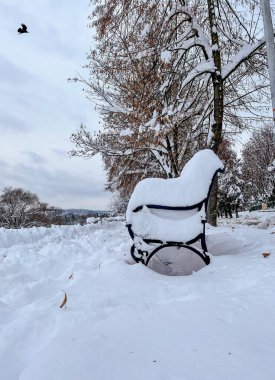 Przemysl, Polonya 'da güpegündüz yapılan kar yağışı altında seti ve seti gören karla kaplı bank.