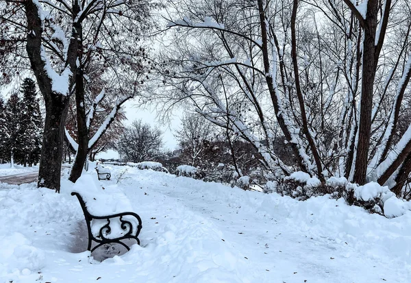 Snow-covered bench overlooking the embankment and the city under lots of snow in Przemysl, Poland made in day light