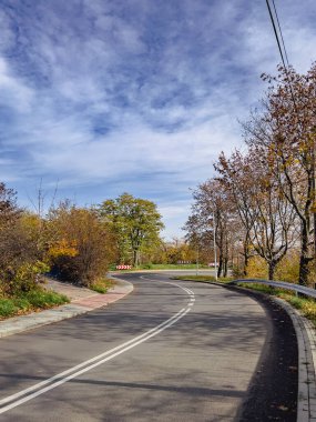 Sonbahar parkında asfalt yolda mavi gökyüzünün arka planında