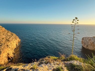Blue Grotto, Malta 'nın güney kıyısı boyunca bulunan yedi mağaradan oluşan bir kompleks. Iz-Zurrieq limanı ve Blue Grotto deniz mağaraları Filfla 'nın küçük adasının karşısındaki sahil şeridinde yer almaktadır..