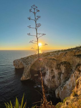 Blue Grotto, Malta 'nın güney kıyısı boyunca bulunan yedi mağaradan oluşan bir kompleks. Iz-Zurrieq limanı ve Blue Grotto deniz mağaraları Filfla 'nın küçük adasının karşısındaki sahil şeridinde yer almaktadır..