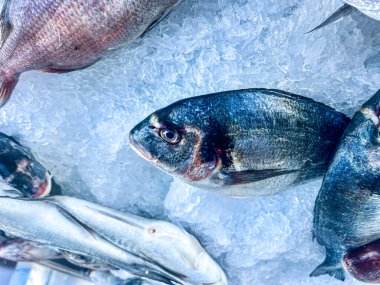Fresh fish on ice for sale in the market. Top view. clipart