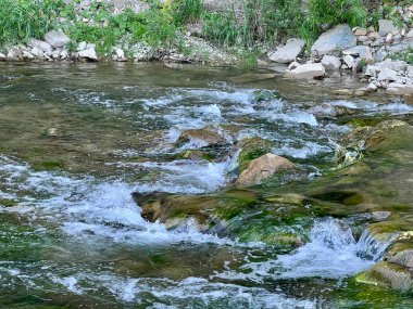 Şeffaf sularda taşların olduğu sığ nehre bitişik dik uçurum.