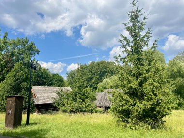 Ahşap bir evin arka planında kozalaklı bir ağacın dalı. Üst Silezya Etnografik Parkı