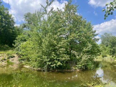 Küçük bir nehir ve bulutlu mavi gökyüzü ile güzel bir yaz manzarası.
