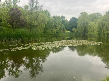 Şehir parkındaki gölün kıyısındaki söğüt ağaçlarının üzerinde bir gölet ve köprü olan manzara.