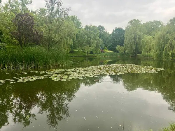 Şehir parkındaki gölün kıyısındaki söğüt ağaçlarının üzerinde bir gölet ve köprü olan manzara.