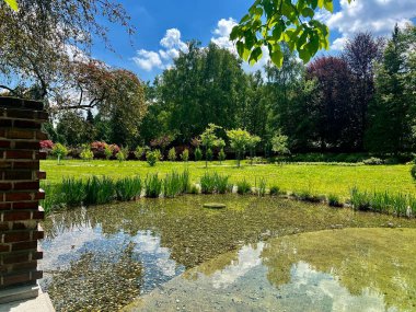 Yazın mavi gökyüzünün altında göleti ve yeşil çimeni olan güzel bir bahçe.