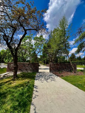 Ağaçlar ve mavi gökyüzü ile parktaki taş yolda beyaz bulutlar Chorzow, Polonya 'da