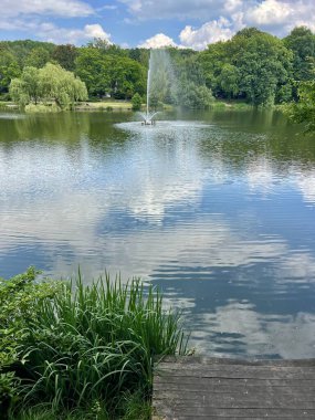 Parktaki göldeki çeşme. Göl ve ağaçlarla dolu güzel bir yaz manzarası