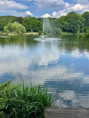 Parktaki göldeki çeşme. Göl ve ağaçlarla dolu güzel bir yaz manzarası