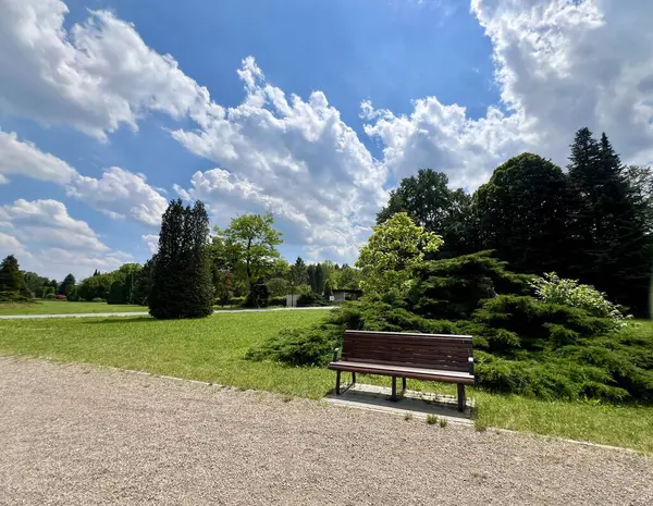 Polonya 'nın Chorzow kentindeki Silesian parkında bulutlarla dolu mavi gökyüzünün arka planındaki bankta.