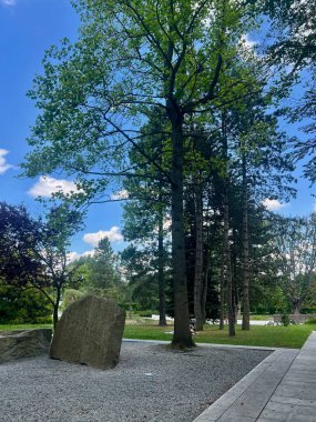 Chorzow, Silezya, Polonya 'da güneşli bir günde ağaçlar ve çimlerle Japon parkının manzarası