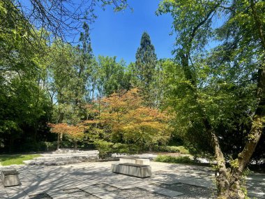 Chorzow, Silezya, Polonya 'da güneşli bir günde ağaçlar ve çimlerle Japon parkının manzarası