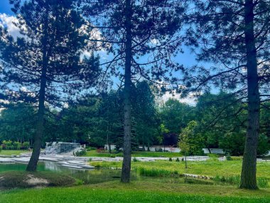 Chorzow, Silezya, Polonya 'da güneşli bir günde ağaçlar ve çimlerle Japon parkının manzarası