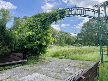 Çelik pergola yakınındaki ahşap bankta şehir parkında yeşillik yetişiyor. Yaz manzarası