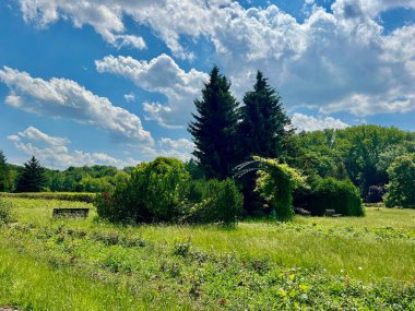 Bulutlu gökyüzünün altında gölün ve ağaçların olduğu güzel bir yaz manzarası.