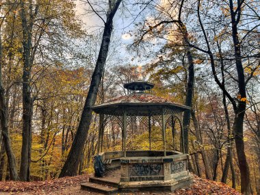 Sonbahar parkında yaprakları dökülen ahşap bir çardak. Parktaki çardaktan sonbahar manzarası.