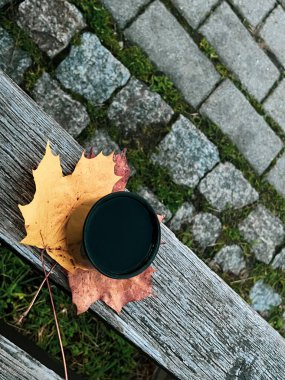 Sarı akçaağaç yaprağıyla ahşap bir bankta bir fincan kahve.