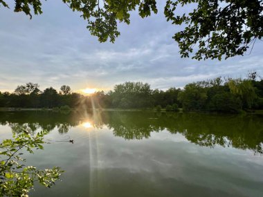 Parkta gün batımı, sudaki ağaçların ve bulutların yansımasıyla.