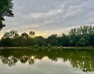 Parkta gün batımı, sudaki ağaçların ve bulutların yansımasıyla.