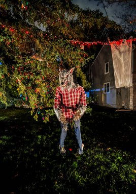 Geceleri bahçede çelenkler ve ışıklarla korkuluk. Cadılar Bayramı konsepti Seçici odak.