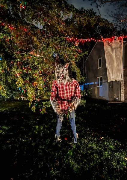 Geceleri bahçede çelenkler ve ışıklarla korkuluk. Cadılar Bayramı konsepti Seçici odak.