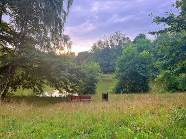 Beautiful summer landscape with lake and bench in the park at sunset clipart