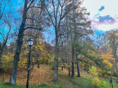 Lamppost sonbahar parkında, mavi gökyüzünün arka planında. Ağaçlar ve yapraklarla dolu sonbahar manzarası