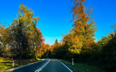 Güneşli bir günde yol ve ağaçlarla dolu sonbahar manzarası. Güzel doğa..