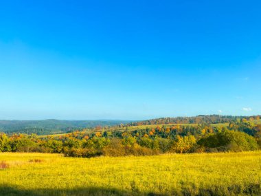Mavi gökyüzünün altında renkli orman ve çayır olan sonbahar manzarası.