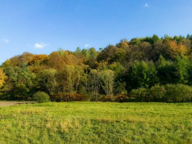Mavi gökyüzünün altında renkli orman ve çayır olan sonbahar manzarası.