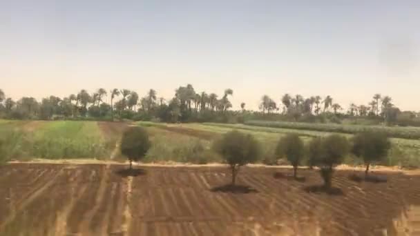 2021年6月1日 カイロからエジプトのルクソール トレイン ラインへ プランテーションや農地を通過する列車の窓からの眺め — ストック動画