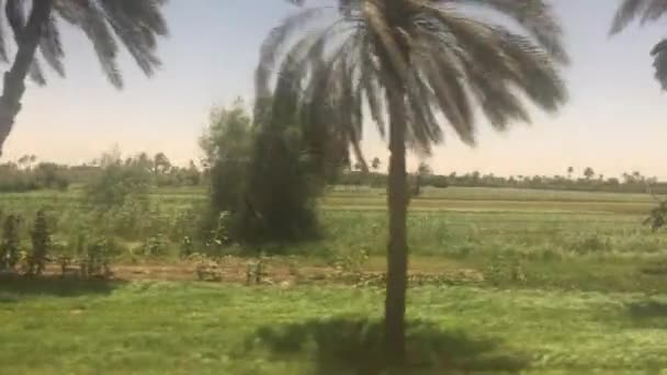 Junio 2021 Línea Tren Cairo Luxor Egipto Vista Desde Ventana — Vídeos de Stock