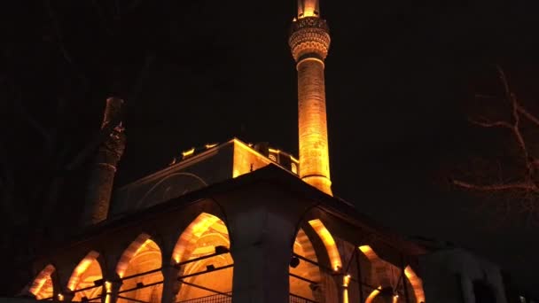 伊斯坦布尔Uskudar的Mihrimah Sultan清真寺的外部 明亮的清真寺与漆黑的夜空形成反差 海鸥是可见的轮廓在穹顶和尖塔前飘扬 — 图库视频影像