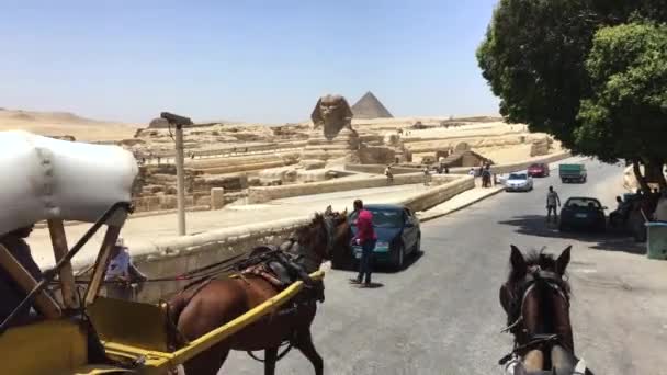May 2021 Giza Necropolis Cairo Egypt Taking Horse Carriage Sphinx — Stock Video