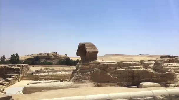 Mai 2021 Nécropole Gizeh Caire Égypte Prendre Cheval Une Calèche — Video