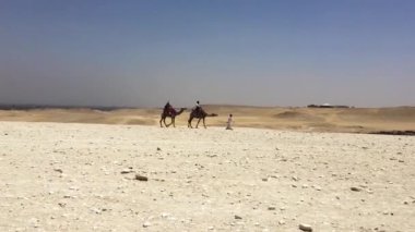 28 Mayıs 2021 - Giza Necropolis, Kahire, Mısır. Giza 'daki sfenks ve piramitlerin etrafında at arabası gezdiriyorum..