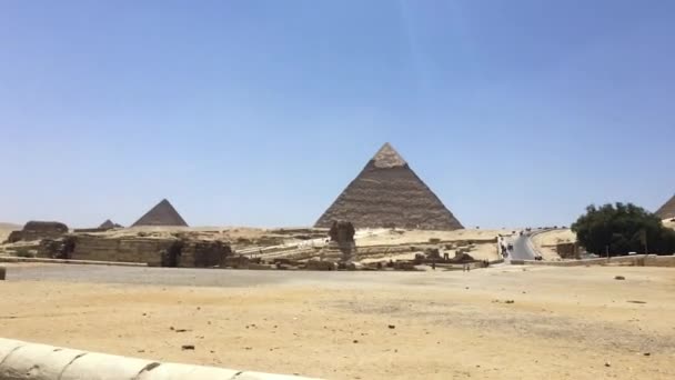 Maja 2021 Giza Necropolis Kair Egipt Wziąć Konia Powóz Wokół — Wideo stockowe