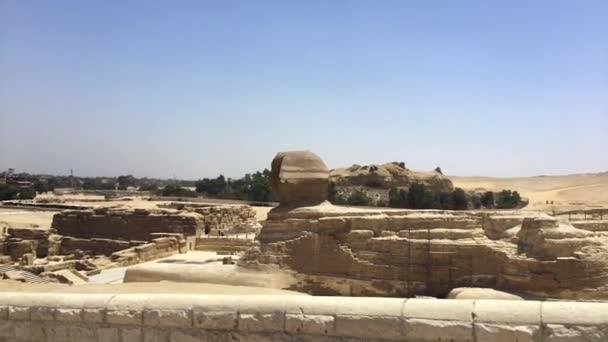 2021 Május Giza Necropolis Kairó Egyiptom Fogok Egy Lovat Hintót — Stock videók