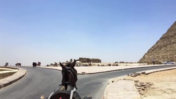 2021年5月28日 吉萨内格罗波利斯 Giza Necropolis 埃及开罗 骑着马和马车绕过吉萨的狮身人面像和金字塔 — 图库视频影像