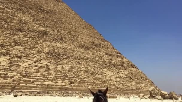 Maja 2021 Giza Necropolis Kair Egipt Wziąć Konia Powóz Wokół — Wideo stockowe