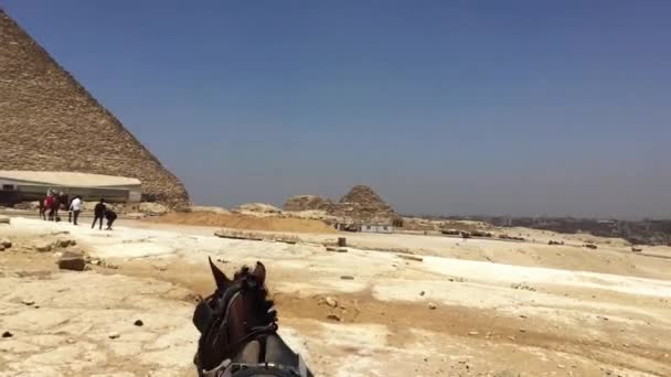 Mai 2021 Nekropole Von Gizeh Kairo Ägypten Mit Pferd Und — Stockvideo