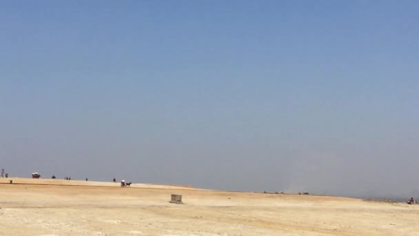 Травня 2021 Гіза Некрополь Каїр Єгипет Захоплення Коня Перевезення Навколо — стокове відео