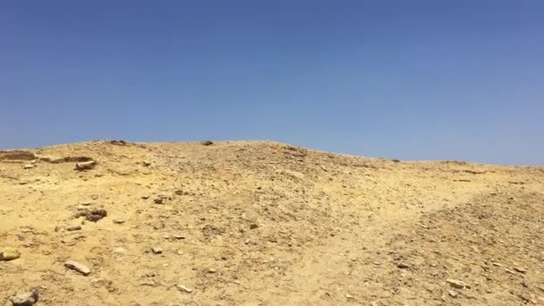 Maggio 2021 Necropoli Giza Cairo Egitto Prendere Cavallo Una Carrozza — Video Stock