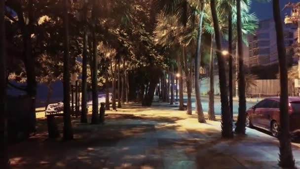Kwietnia 2022 Jomtien Beach Chonburi Tajlandia Spacerując Ciemną Słabo Oświetloną — Wideo stockowe