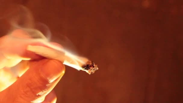 Março 2024 Dunnville Ontário Canadá Uma Mão Segurando Passando Cigarro — Vídeo de Stock