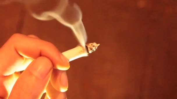 Março 2024 Dunnville Ontário Canadá Uma Mão Segurando Passando Cigarro — Vídeo de Stock